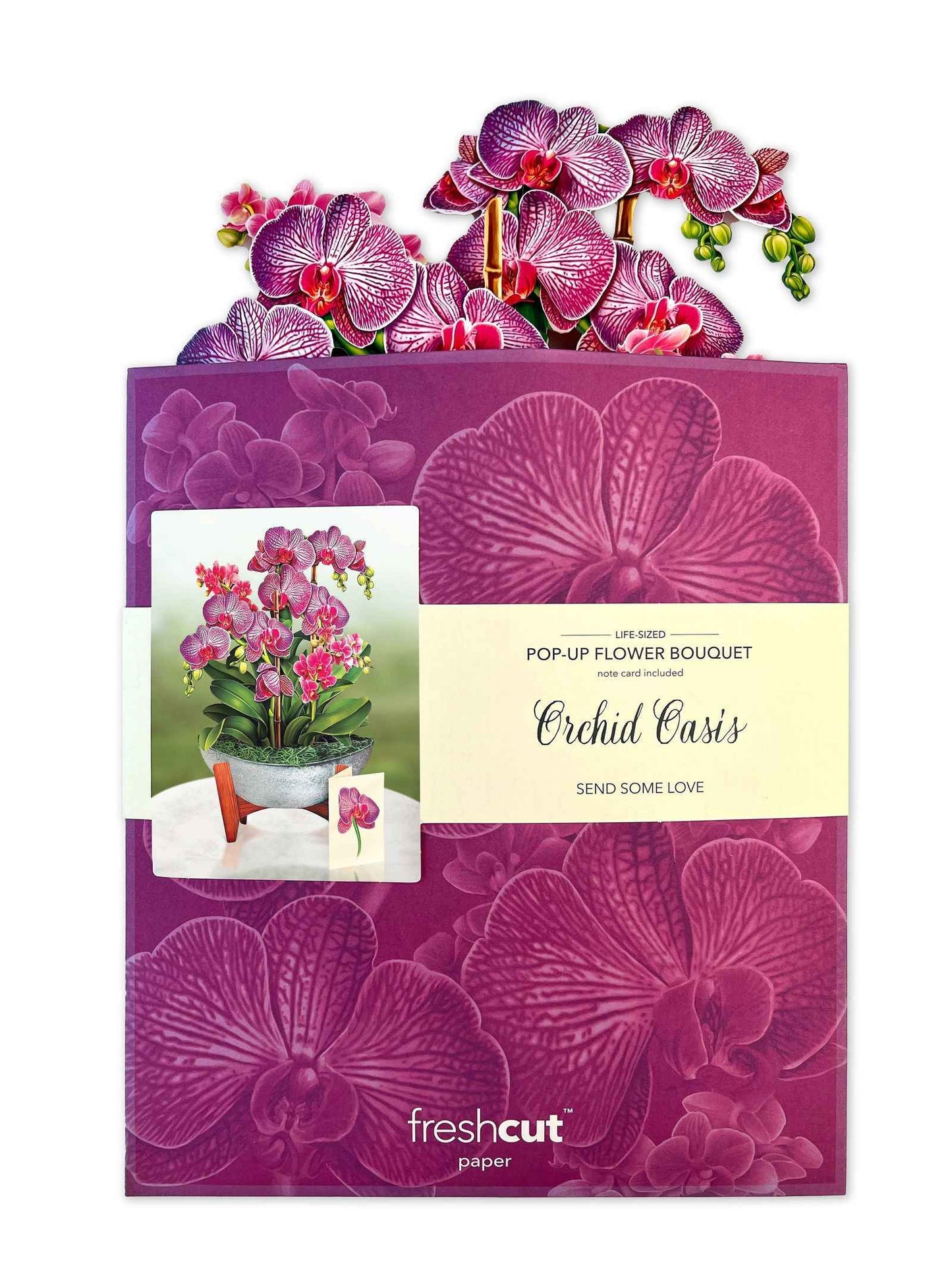 Orchid Oasis Greeting Card by FreshCut Paper LLC