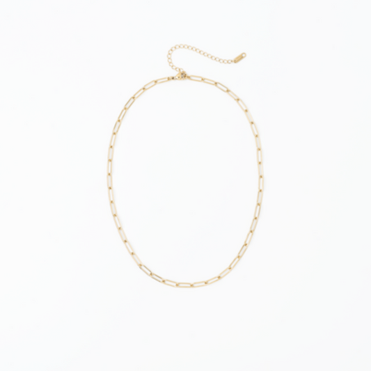 Gold chain necklace on a white background