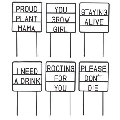Plant Message Picks - Flair Flower Bar & Studio