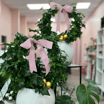 Potted Ivy Ring Wreath - Flair Flower Bar & Studio