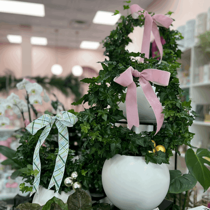 Potted Ivy Ring Wreath - Flair Flower Bar & Studio