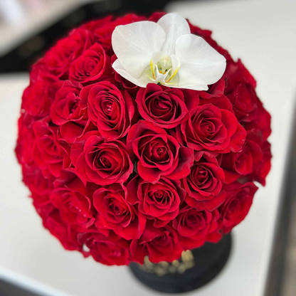 Velvet Signature Luxury Rose Box