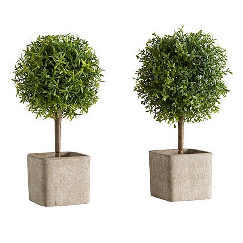 Topiary Ball In Planter Set of 2 - Flair Flower Bar & Studio