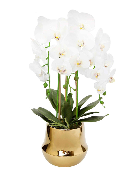 White Faux Orchid Plant in Round Shiny Gold Vase