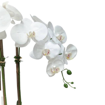 White Faux Orchid Plant in Round Shiny Gold Vase - Flair Flower Bar & Studio