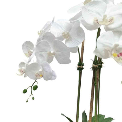 White Faux Orchid Plant in Round Shiny Gold Vase