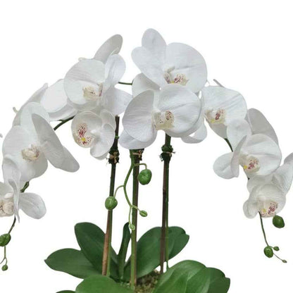 White Faux Orchid Plant in Round Shiny Gold Vase