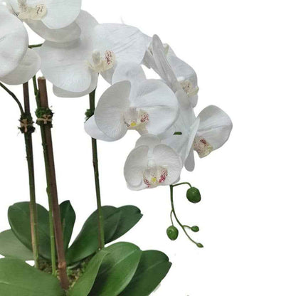 White Faux Orchid Plant in Round Shiny Gold Vase